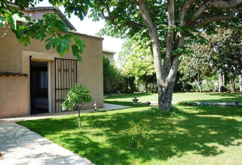 سوییت جونیور, Le Mas Du Chanoine