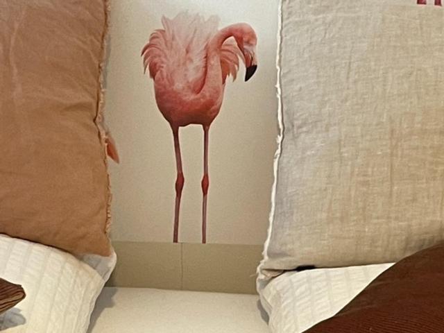 标准间带游泳池, Mas Armelin