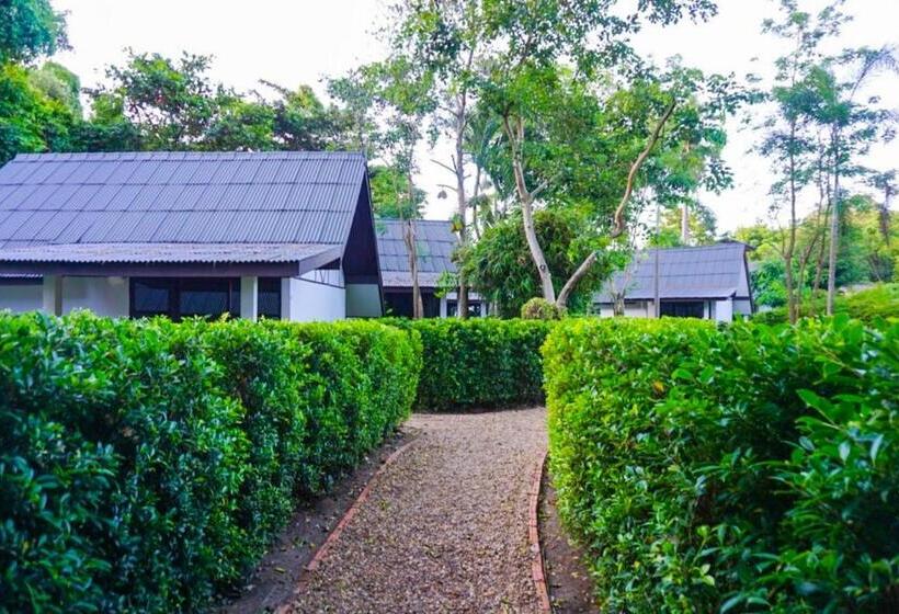 اتاق لوکس با تخت بزرگ, Banyan Resort@rayong