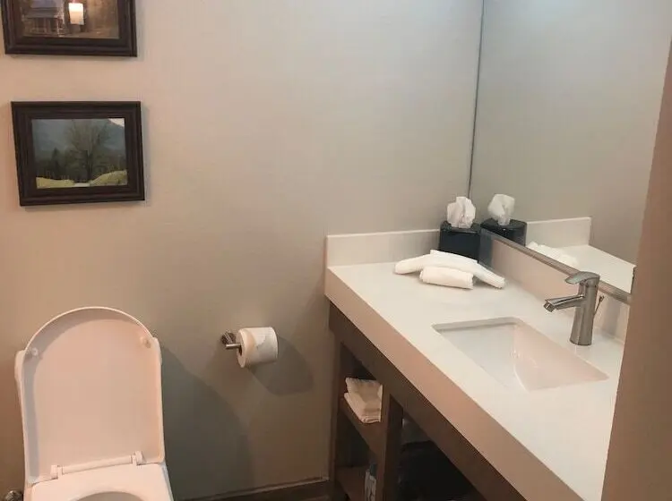 スイート, Comfort Suites