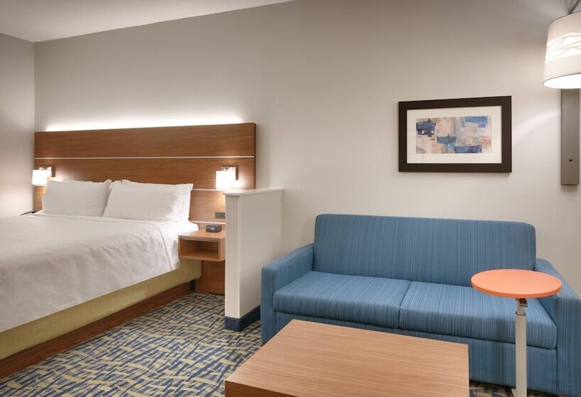 适合残疾人士使用的套间, Holiday Inn Express & Suites   Gainesville I 75, An Ihg