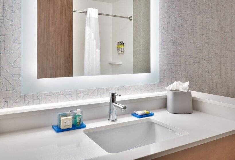适合残疾人士使用的套间, Holiday Inn Express & Suites   Gainesville I 75, An Ihg