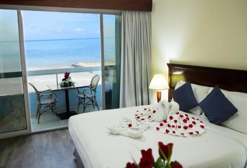 디럭스 테라스 룸 바다 전망, Mermaid Beach Hotel Llc