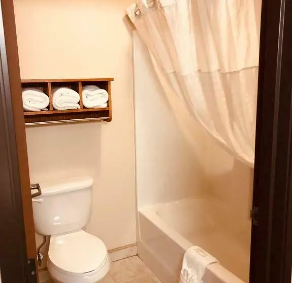 スタンダードルーム, Shenandoah Inn & Suites
