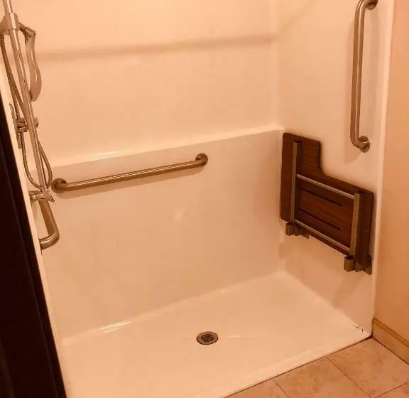 身障者適用スタンダードルーム, Shenandoah Inn & Suites