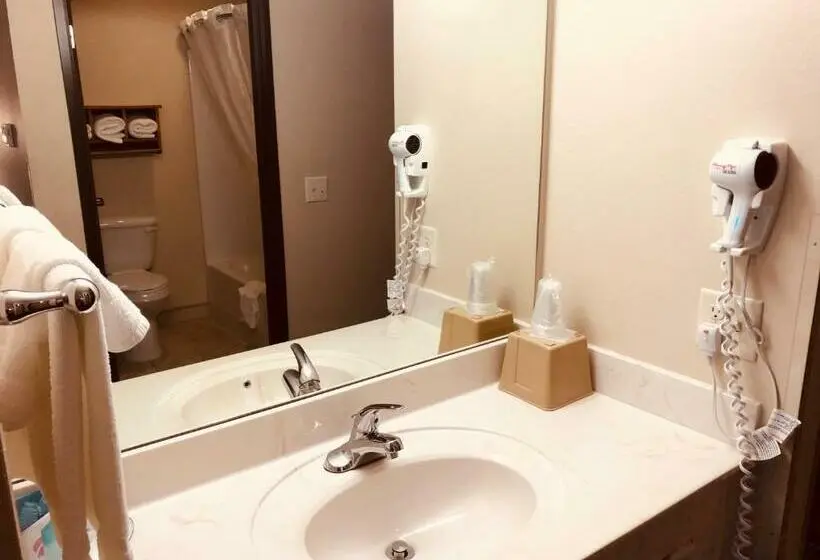 キングサイズベッドのデラックスルーム, Shenandoah Inn & Suites