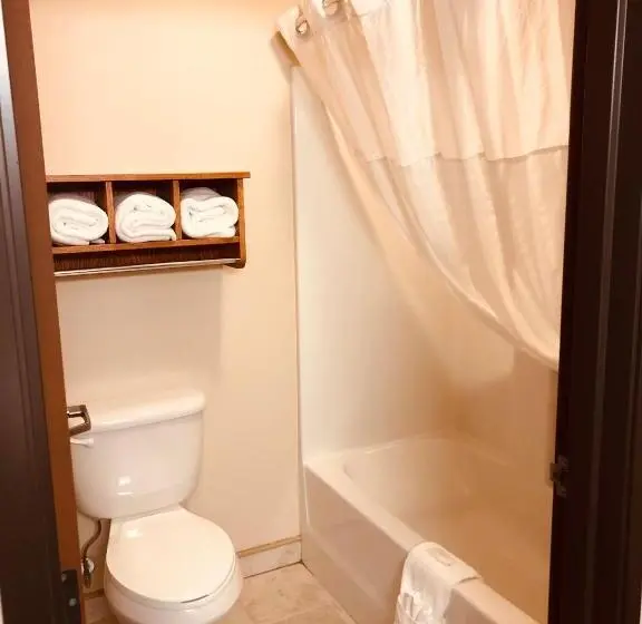 キングサイズベッドのデラックスルーム, Shenandoah Inn & Suites