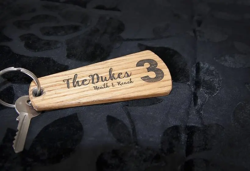 スタンダードルーム, The Dukes