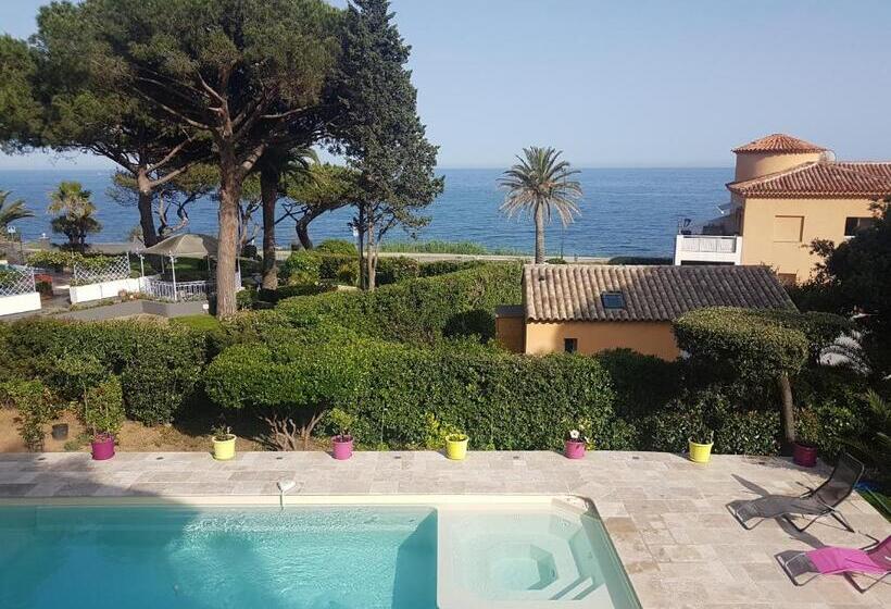 オーシャンビュースタンダードルーム, Villa Esmeralda Adults Only