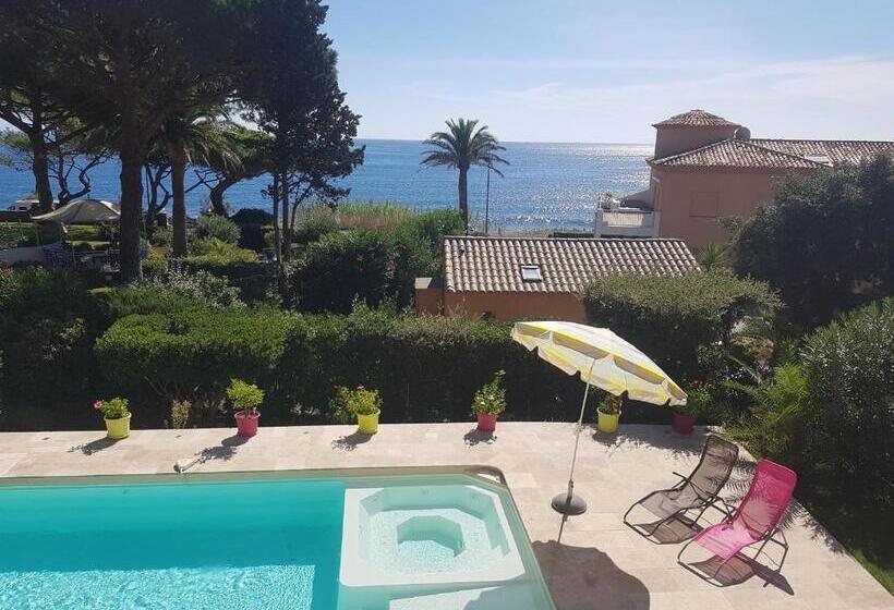 オーシャンビュースタンダードルーム, Villa Esmeralda Adults Only