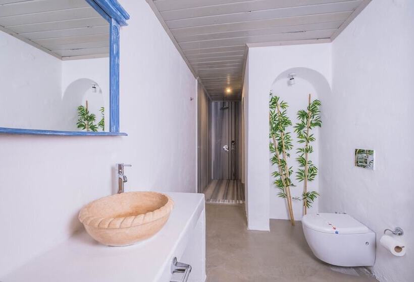 Номер Стандарт Вид на Бассейн, Kassandra Boutique