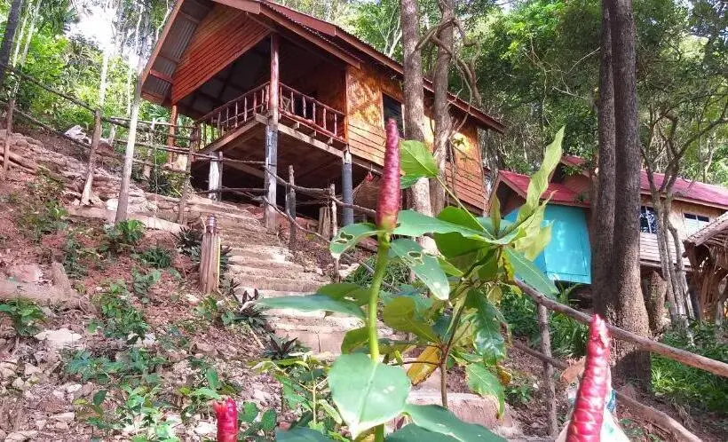 بانگلوی سوپریور, Jungle Hill Beach Bungalow