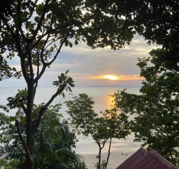 בקתה סופריור, Jungle Hill Beach Bungalow