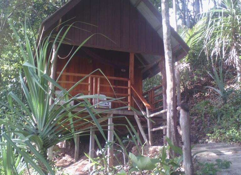 בונגלו משפחתי, Jungle Hill Beach Bungalow