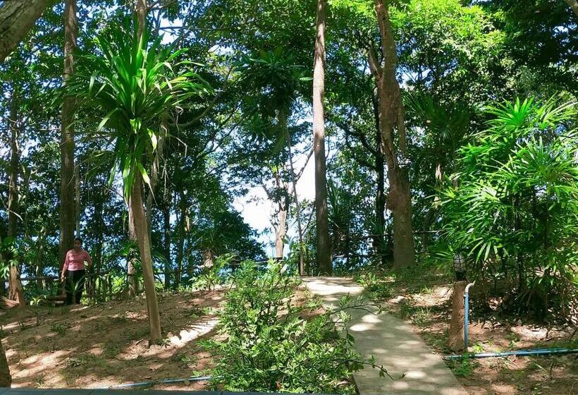 בקתה סופריור, Jungle Hill Beach Bungalow