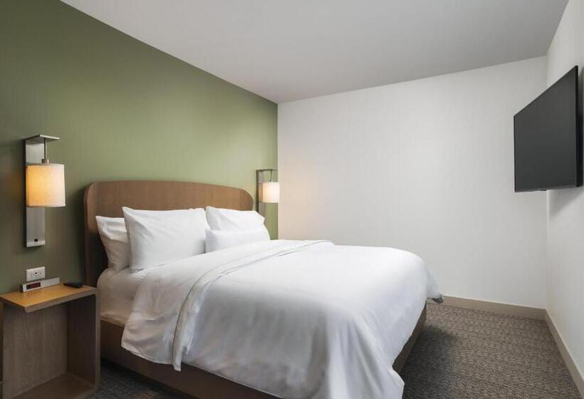 سوئیت اجرایی با تخت کینگ, Element Denver Downtown East