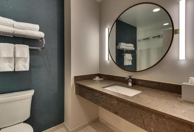 اتاق استاندارد برای معلولان, Fairfield Inn & Suites By Marriott Birmingham Downtown