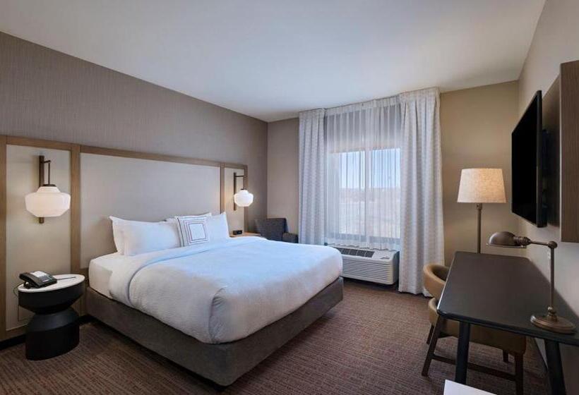 스탠다드 룸 킹사이즈 침대, Fairfield Inn & Suites By Marriott Colorado Springs East