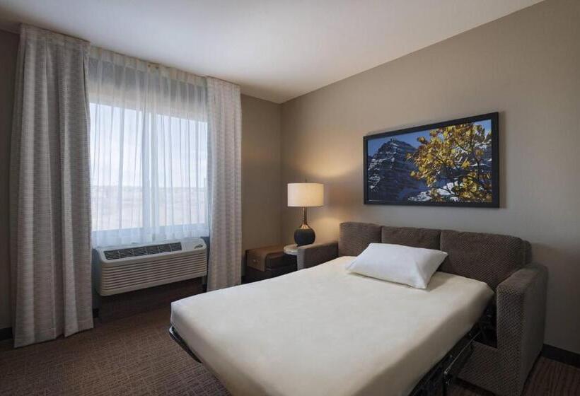스위트 킹사이즈 침대, Fairfield Inn & Suites By Marriott Colorado Springs East