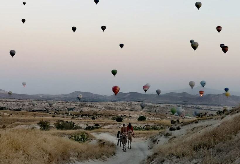آپارتمان اکونومی 1 خوابه, Young Cave