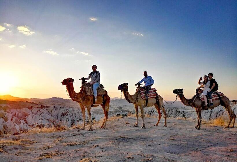 آپارتمان اکونومی 1 خوابه, Young Cave