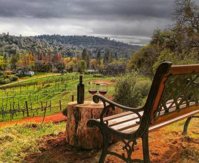 إستوديو قياسى, Papillon Cellars   The Loft