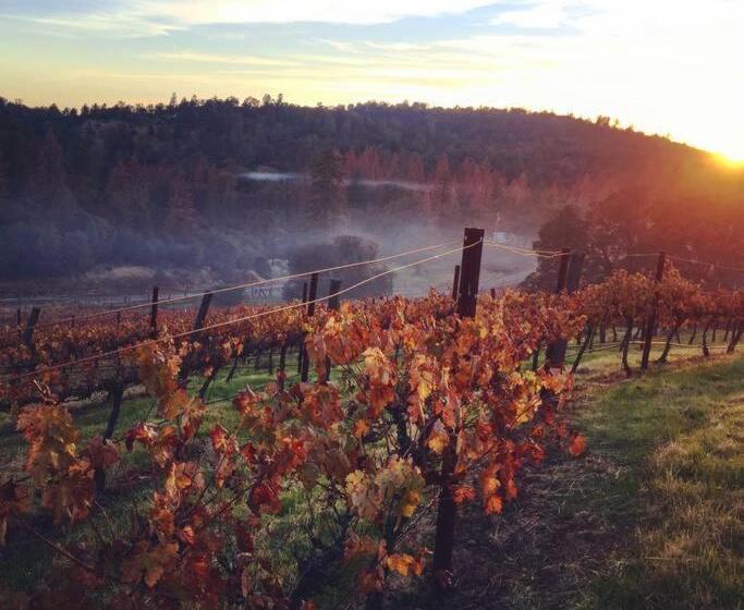 إستوديو قياسى, Papillon Cellars   The Loft