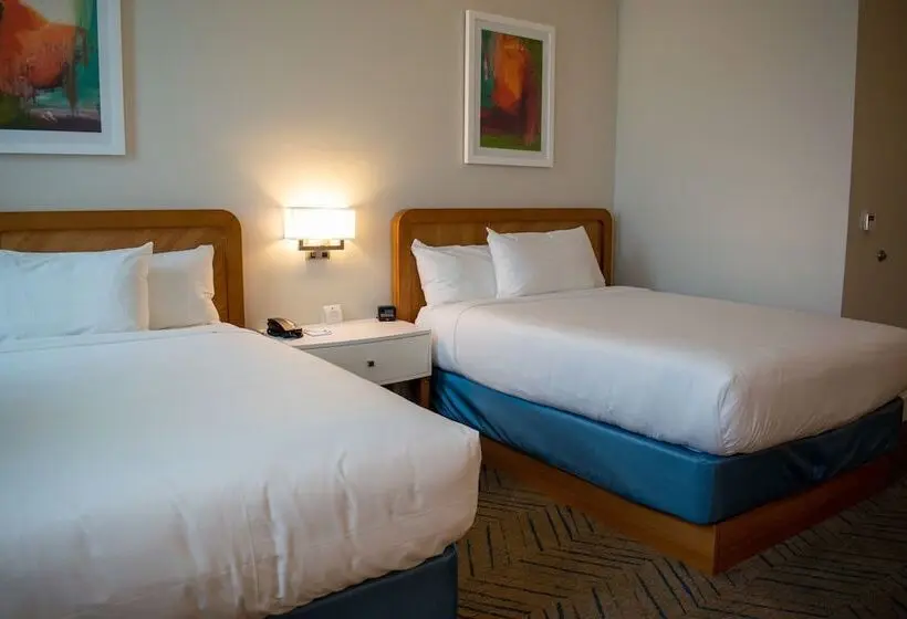 اتاق استاندارد با تخت دوبل, Oasis Resort Gulfport