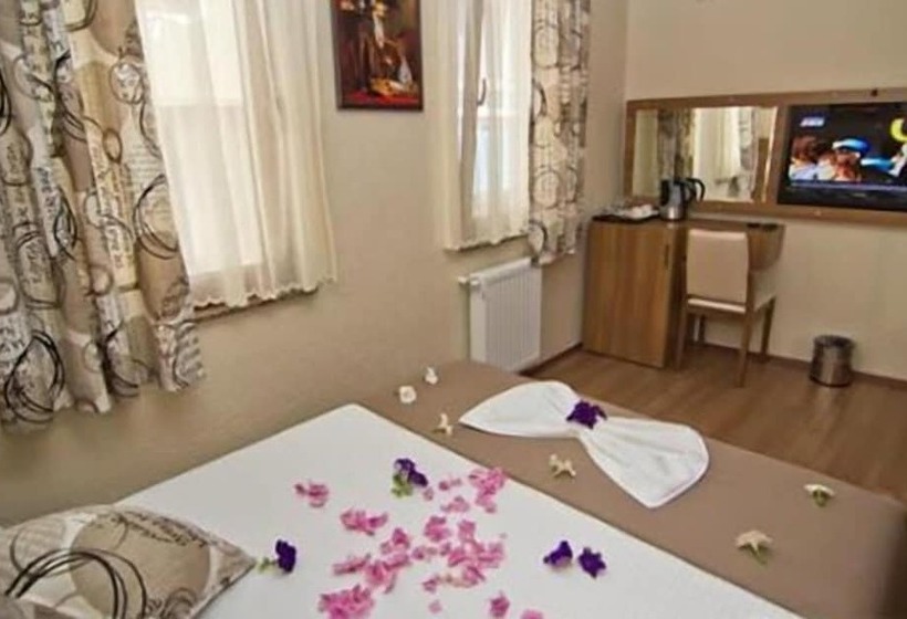 اتاق لوکس, Karya Butik Otel