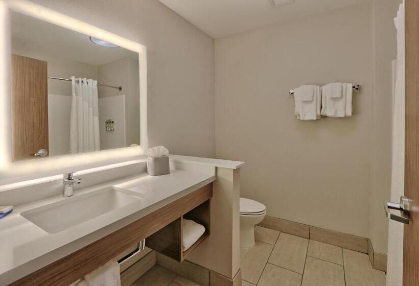 适合残疾人使用的标准间, Holiday Inn Express & Suites - Albuquerque East, An Ihg