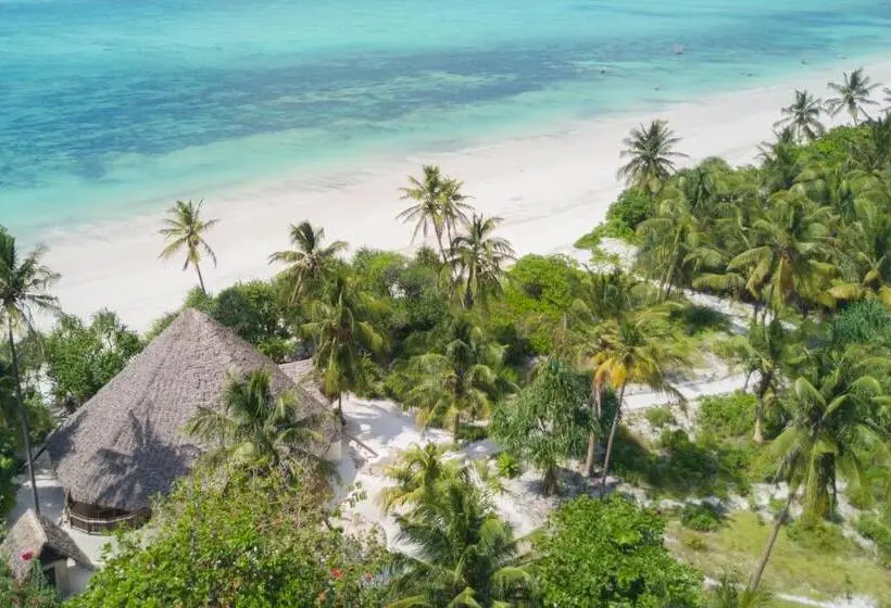 ビラホテル１ベッドルーム, Zanzibar Pearl   Boutique Hotel & Villas