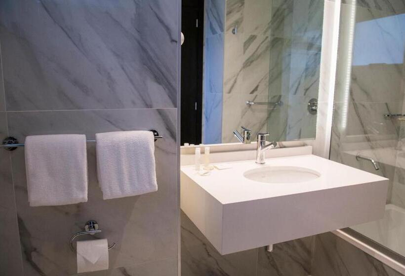 带露台的高档房间, Land Plaza La Plata