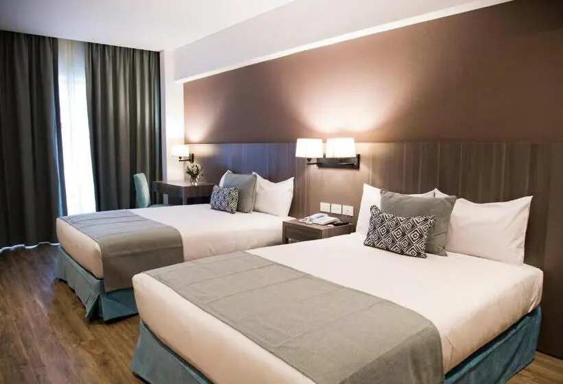 Superior Room with Terrace, Land Plaza La Plata