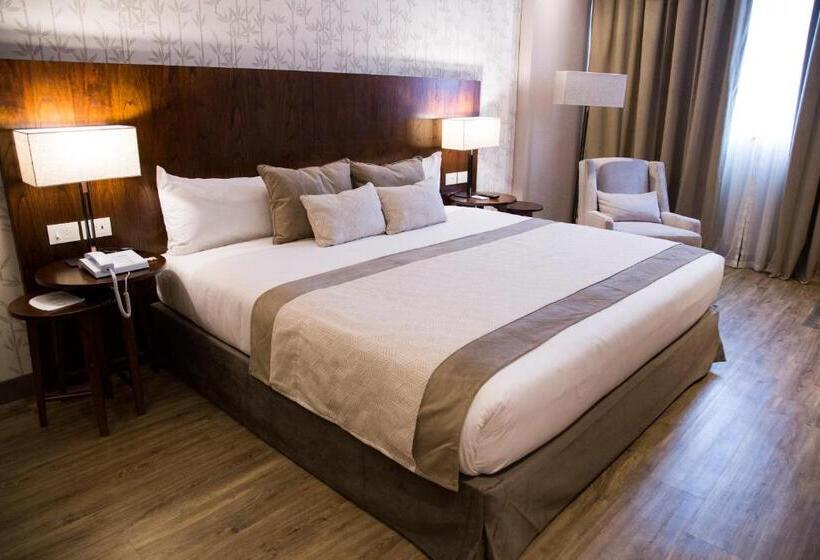 带大床的套房, Land Plaza La Plata