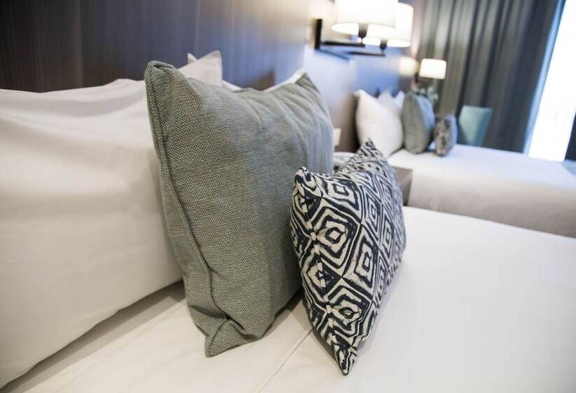 标准间, Land Plaza La Plata