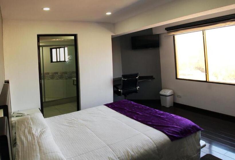 اتاق استاندارد یک نفره, Apart Hotel Regina