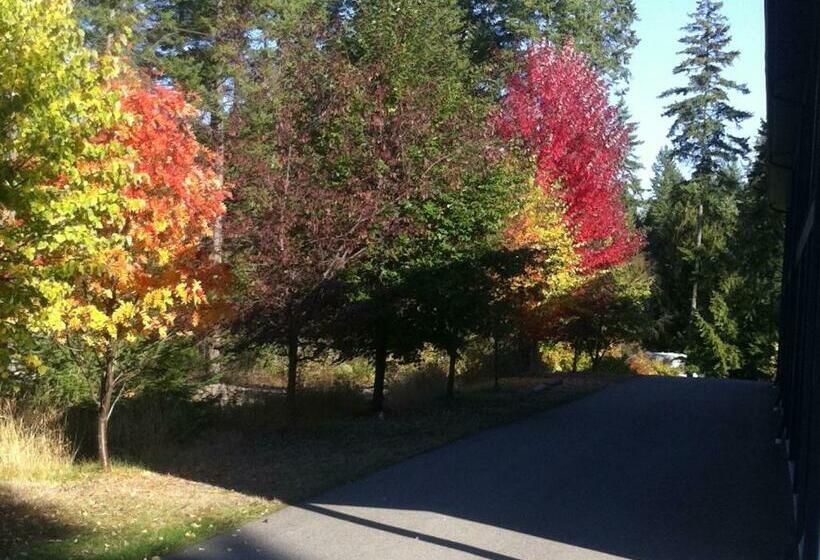 חדר סטנדרט, New Horizon Motel