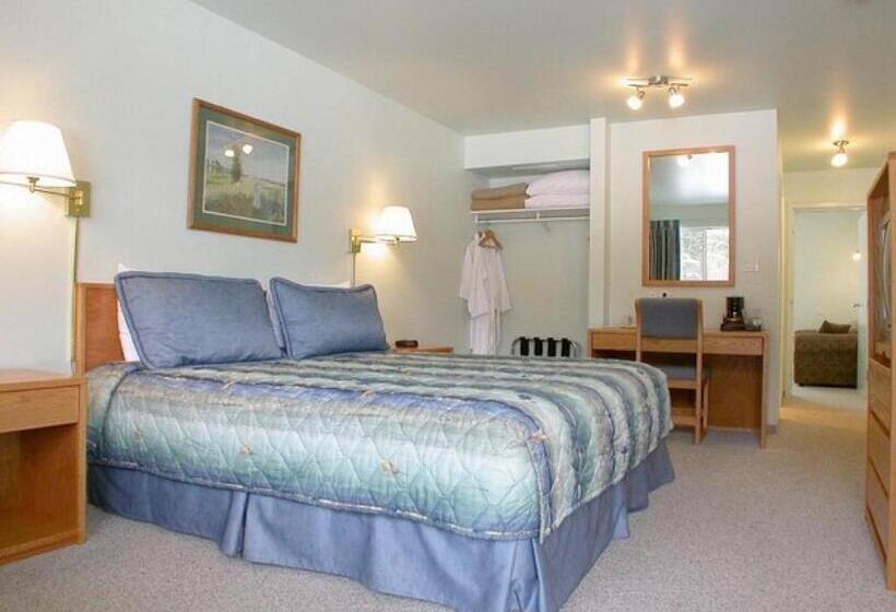 מיטת קינג בסוויטה, New Horizon Motel