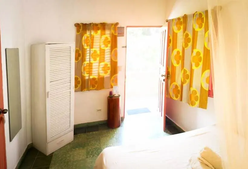 اتاق استاندارد, Casa Delfin Guest House