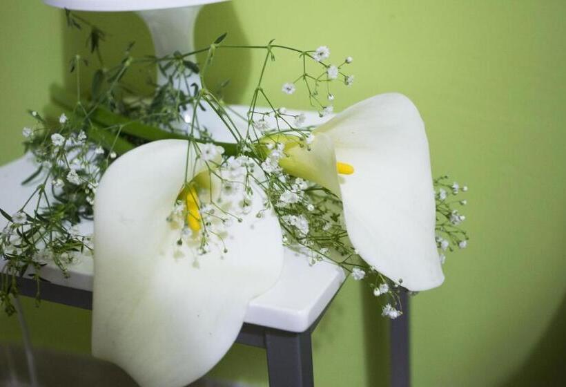 Standard Room, B&b Terra Nobile   Portopalo