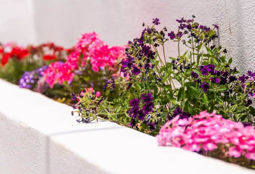 غرفة إقتصادية, Epavli Boutique