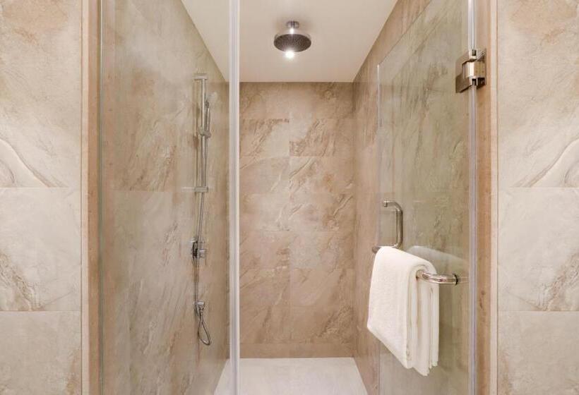 اتاق پرمیوم, Lemon Tree Premier, Mumbai International Airport