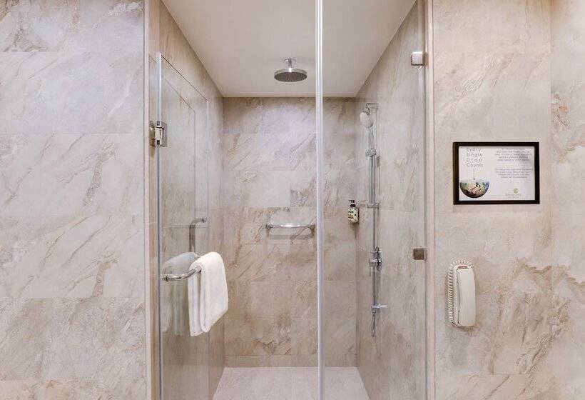 استودیوی استاندارد, Lemon Tree Premier, Mumbai International Airport