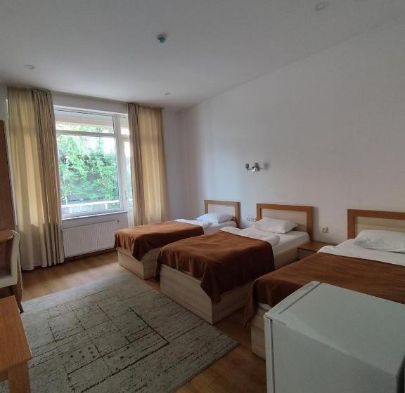 اتاق سوپریور سه تخته, Marseille Palace