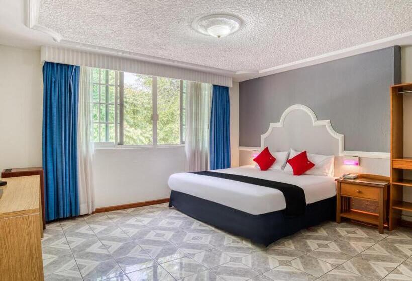 اتاق لوکس, Y Spa Posada Mirador