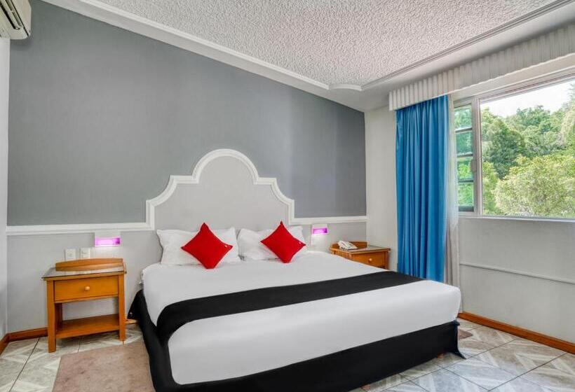 اتاق لوکس با وان آب گرم, Y Spa Posada Mirador