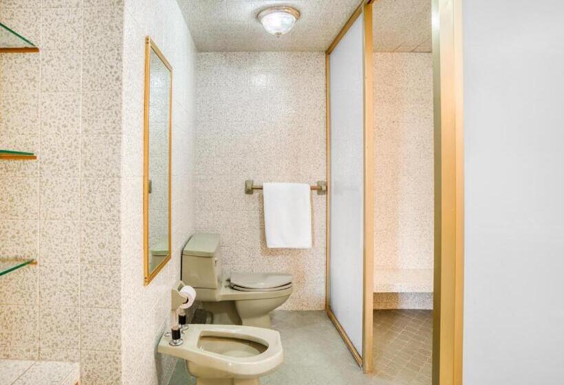 سوئیت مستر, Y Spa Posada Mirador