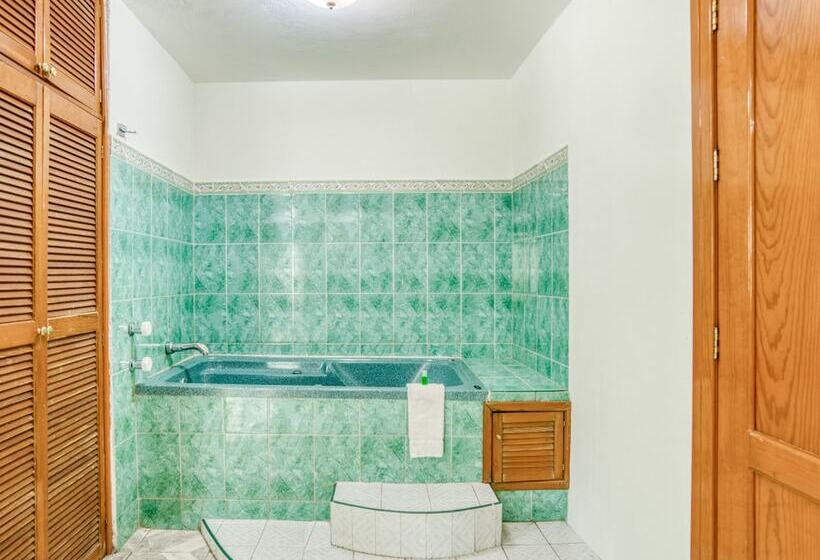 اتاق لوکس, Y Spa Posada Mirador