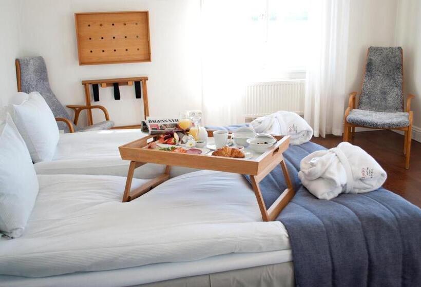 غرفة قياسية مطلة على المدينة, 1909 Sigtuna Stads Hotell