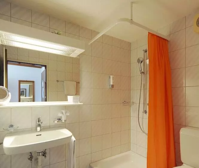 Habitación Estàndard Individual, Alpha Thun
